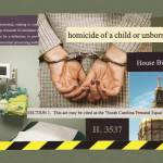 A collage-style image showing a woman in handcuffs, medical equipment in a clinic room, and the gold-domed top of a government building. Overlaid text includes “homicide of a child or unborn child,” “House Bill 441,” “H. 3537,” and “This act may be cited as the ‘South Carolina Prenatal Equal Protection Act.’” A yellow-and-black caution stripe runs along the bottom of the image.